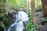 Abbey Pond Trail 2017